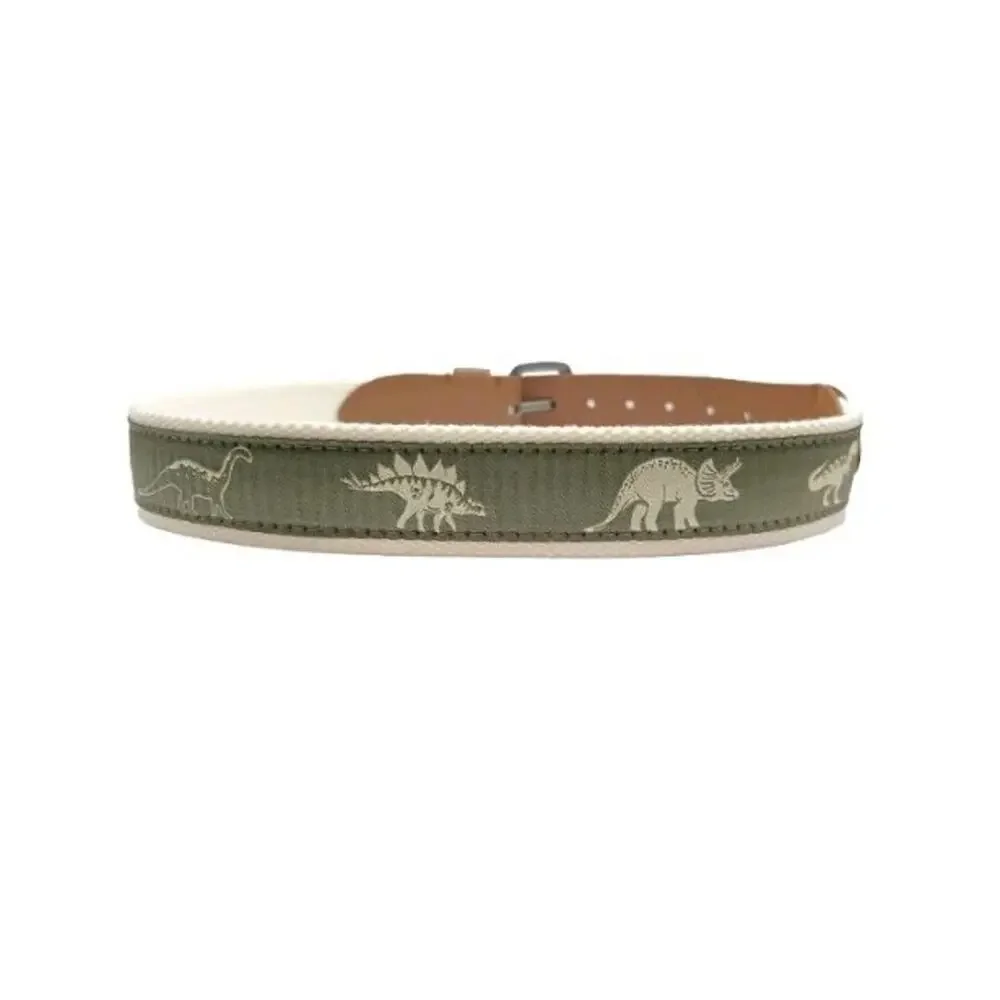 Wonder Nation Boy's Size M Medium Green Dinosaur Webbing Belt New